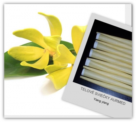 Ylang ylang testgyertyák 10db #15109